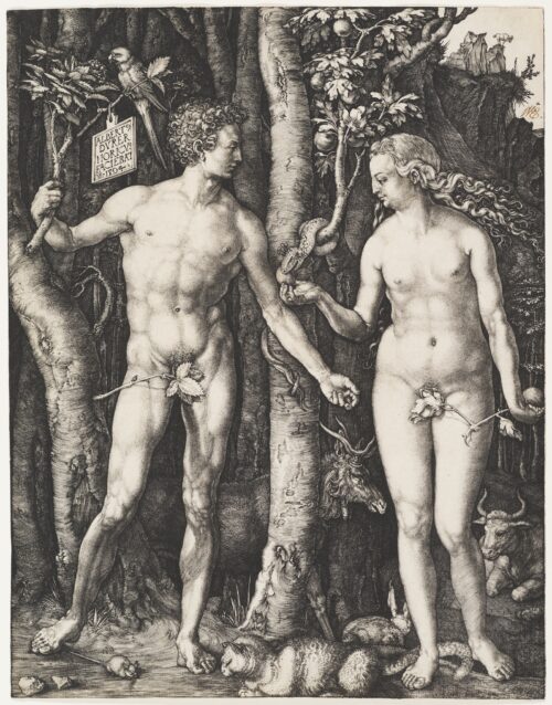 Albrecht Dürer. Adam and Eve