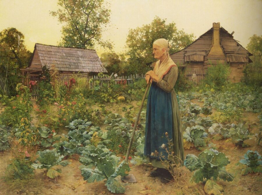 Older woman standing in a cabbage patch resting her hands on the top of a hoe