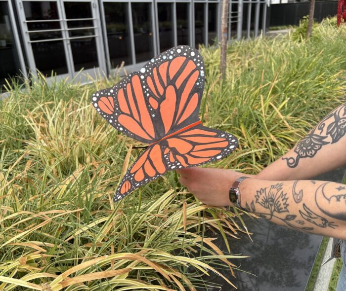 Two hands holding a large handmade butterfly