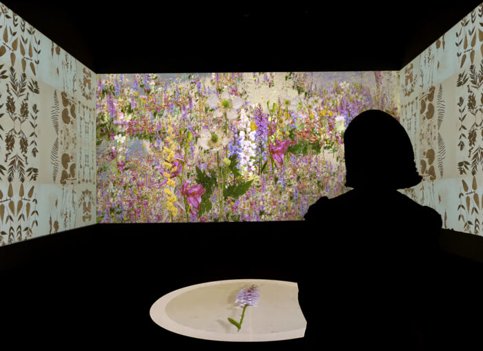The silhouette of a woman looks at an art projection of flowers.