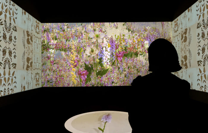 The silhouette of a woman looks at an art projection of flowers.