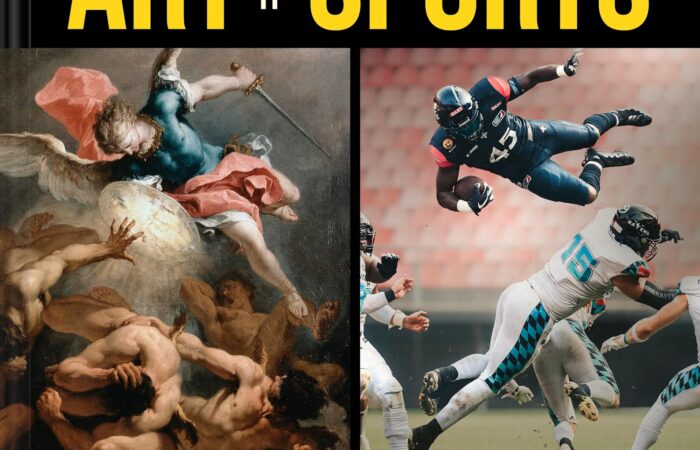 Art But Make it Sports book
