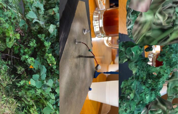 A series of three photos starting with a forest scene and ended with a digital version of that forest.