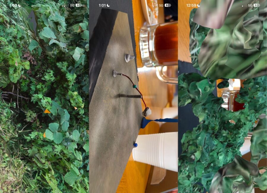 A series of three photos starting with a forest scene and ended with a digital version of that forest.