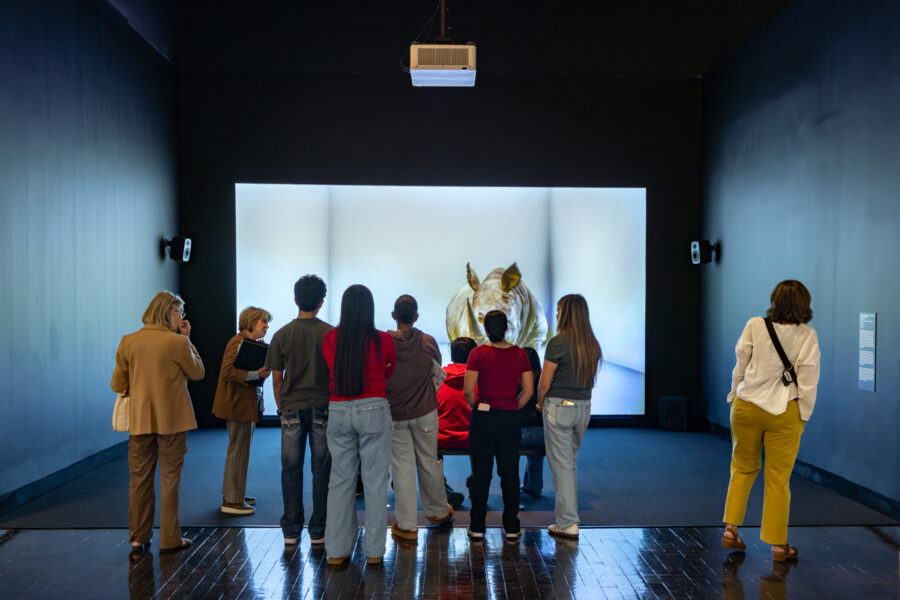 A group of people look at a digital rhino on a tour in an art museum.