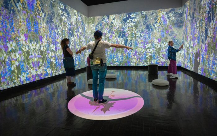 Man standing with his arms out in the middle of a room with projections of flowers on all the walls.