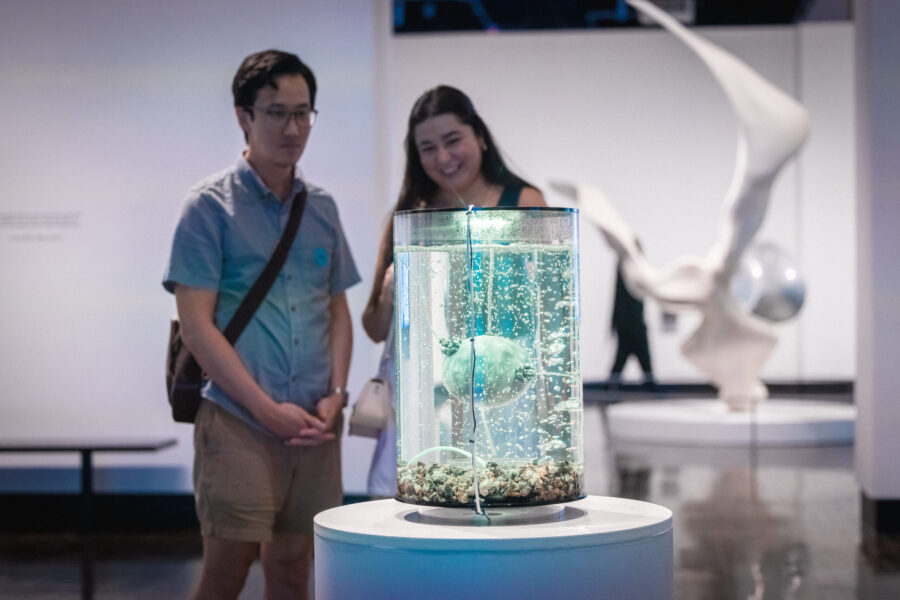 A couple looks at a futuristic robot in a water tank.