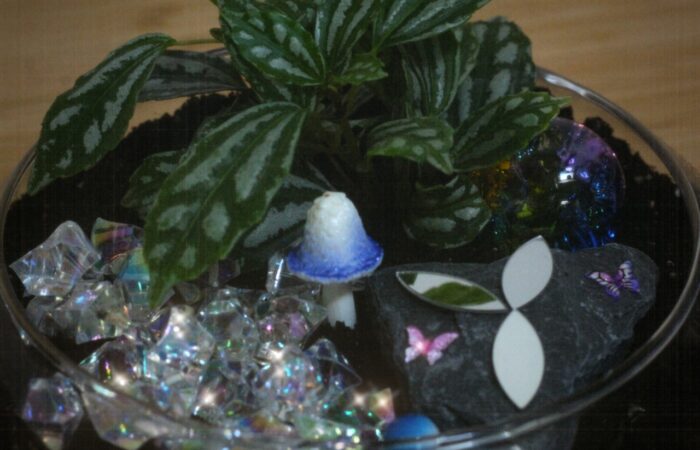 A terrarium with plants and crystals.