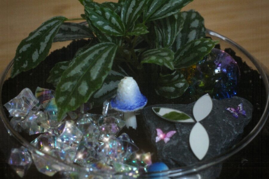 A terrarium with plants and crystals.