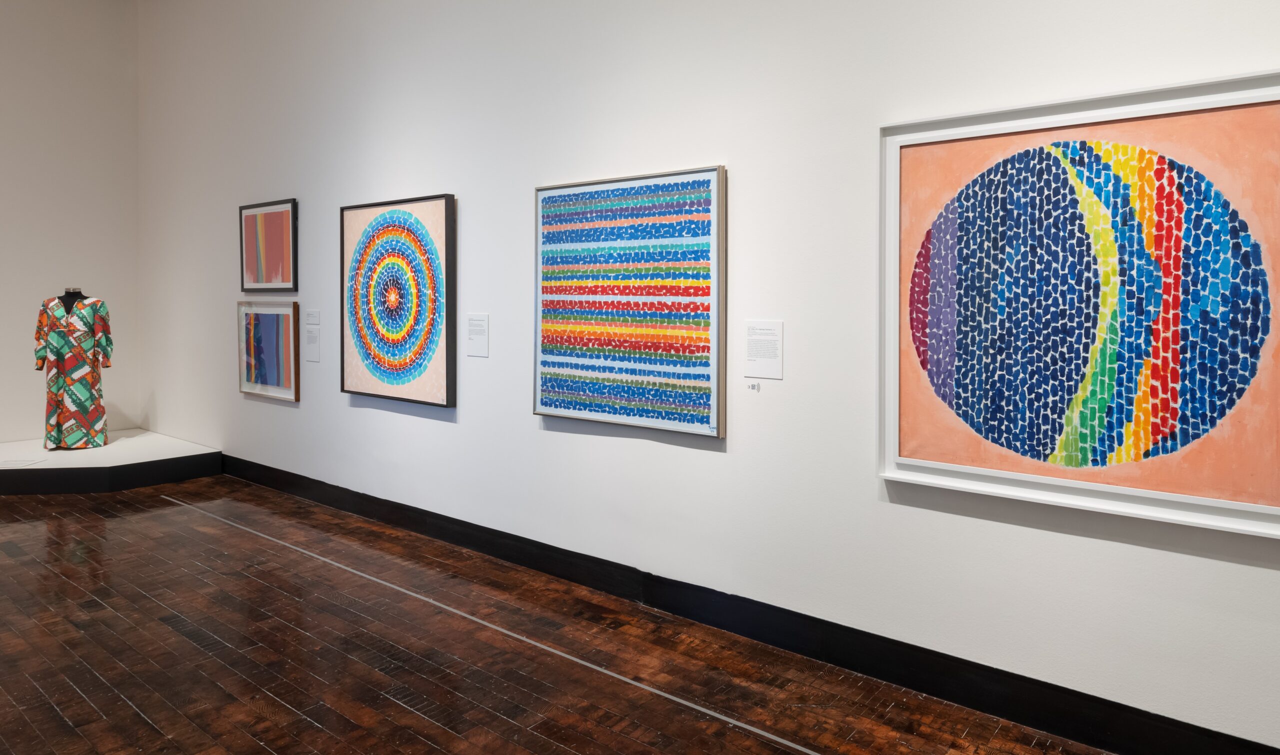 View of a wall of several of Alma Thomas's colorful paintings