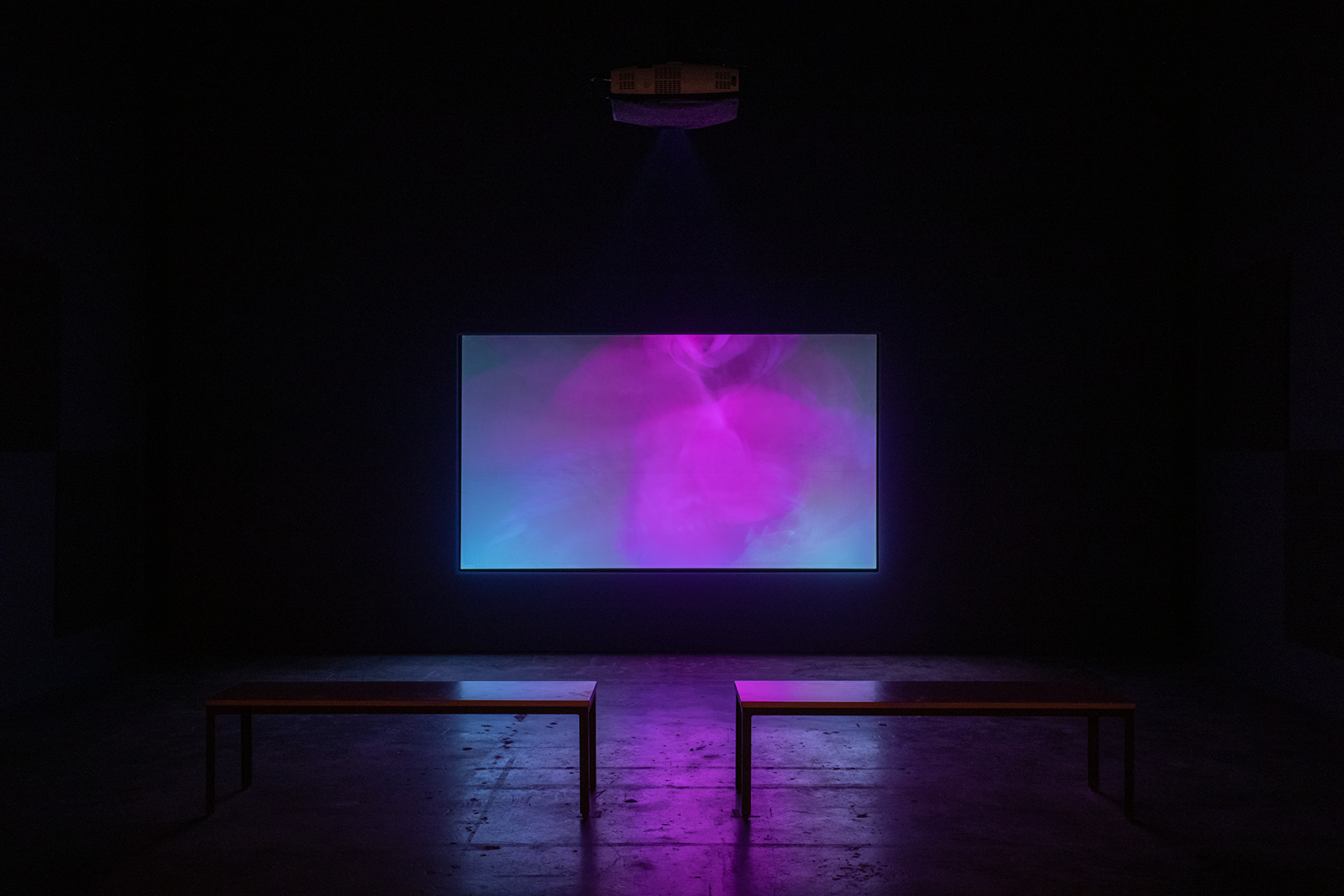Dark room with a large video projection showing a purple and blueish abstract shape with two empty benches in the foreground