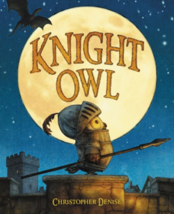 Book cover of Knight Owl