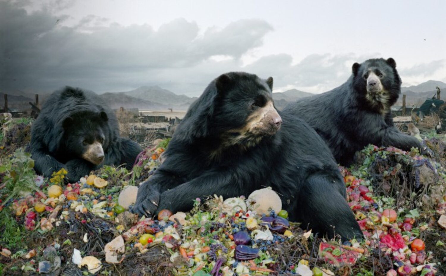 Simen Johan Until the Kingdom Comes Frist Art Museum