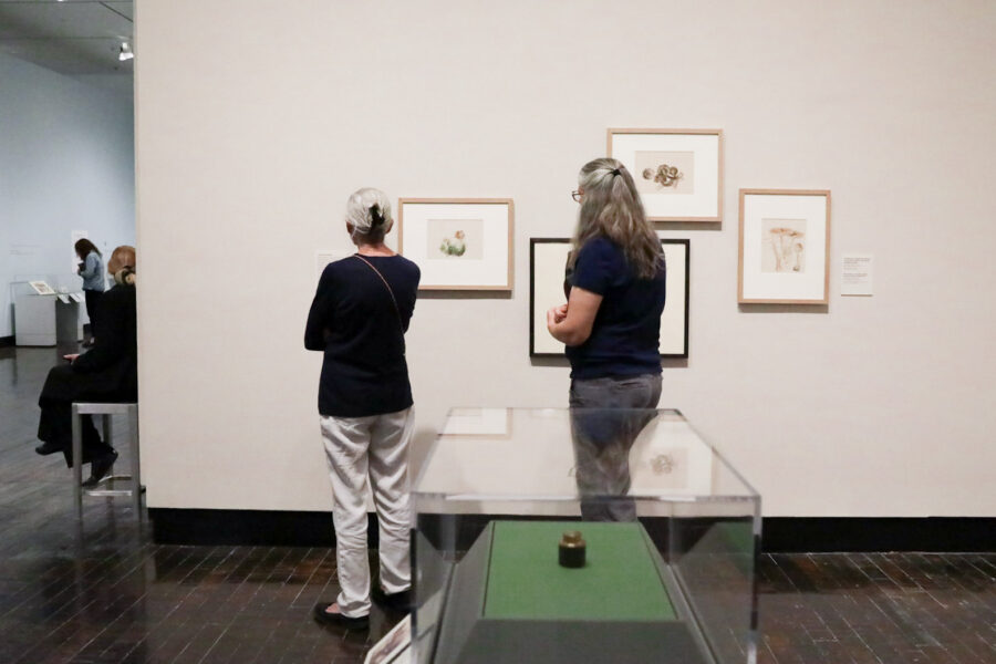 Two women with their backs to the camera in the Beatrix Potter gallery
