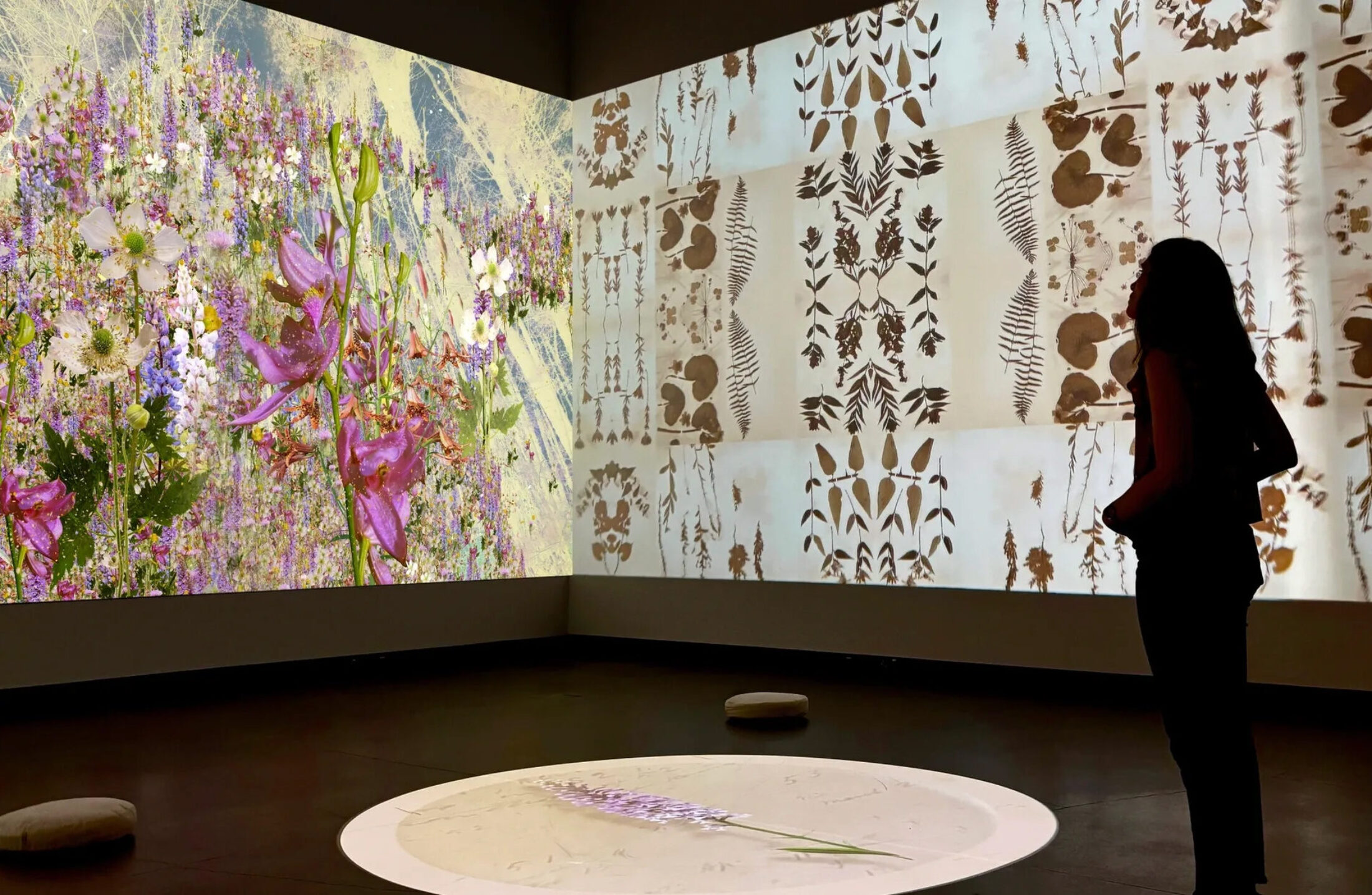 A woman views a projection of flowers and plants in an art museum.