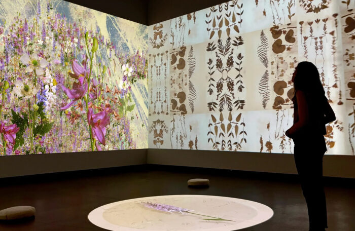 A woman views a projection of flowers and plants in an art museum.