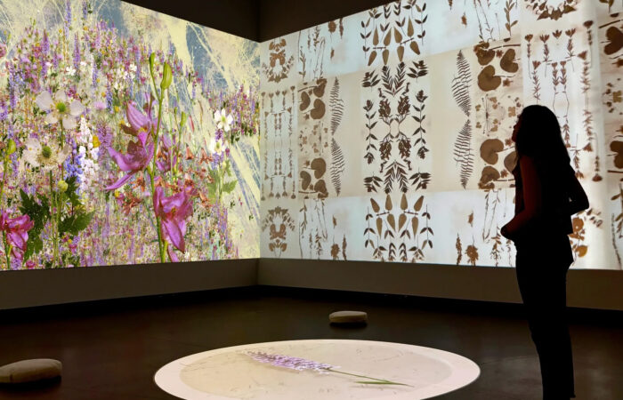 A woman views a projection of flowers and plants in an art museum.