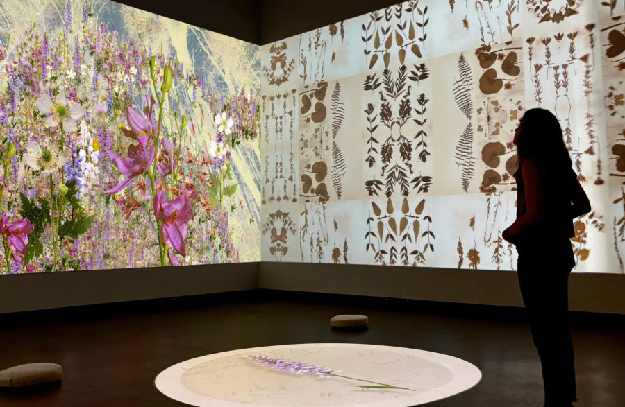 A woman views a projection of flowers and plants in an art museum.