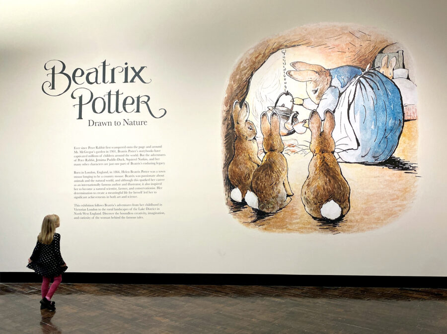 Young girl looking at the large Tale of Peter Rabbit image at the entrance of the Beatrix Potter exhibition