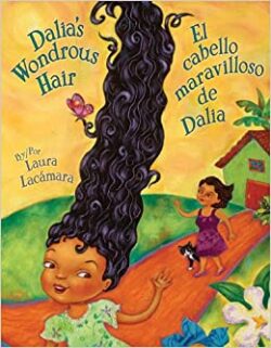 Dalias wondrous hair book cover