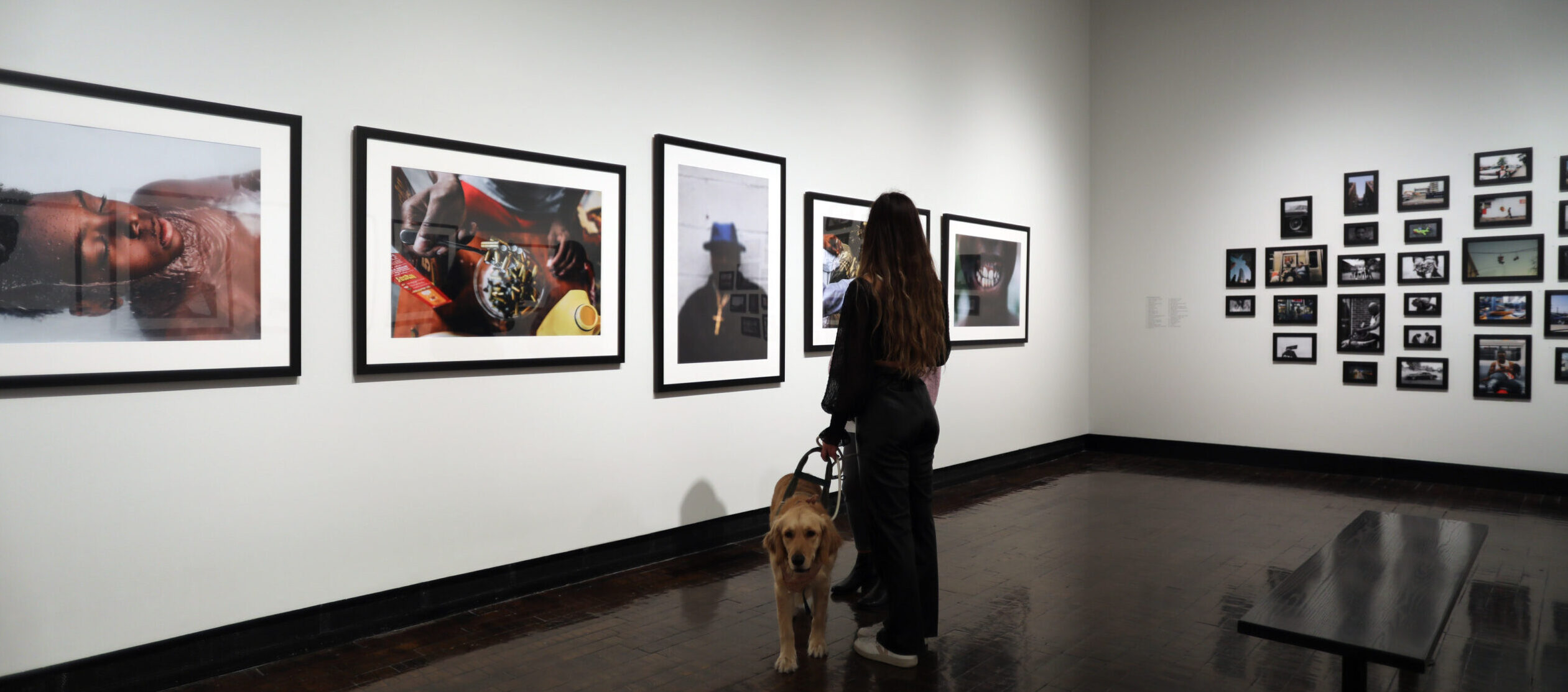 Woman with a service dog looking at framed photographs on gallery walls.